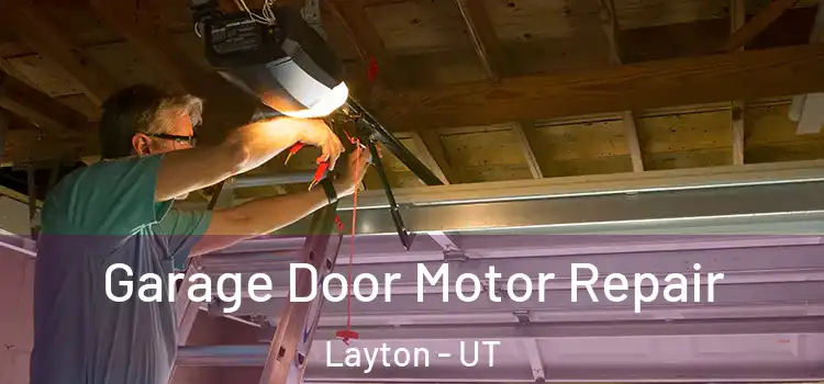  Garage Door Motor Repair Layton - UT