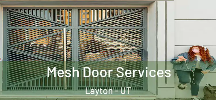 Mesh Door Services Layton - UT